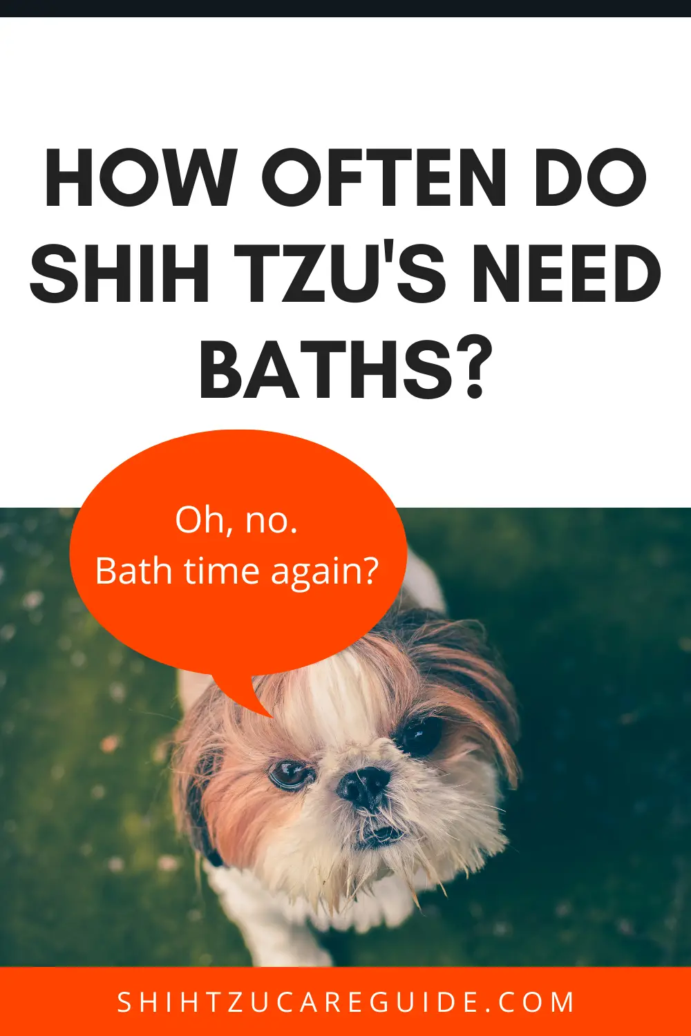 How often do Shih Tzu's need baths? www.shihtzucareguide.com