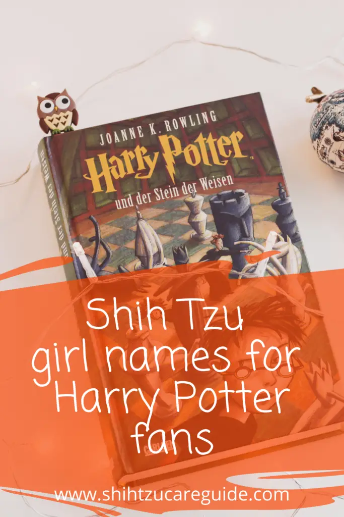 Shih Tzu girl names for Harry Potter fans  www.shihtzucareguide.com