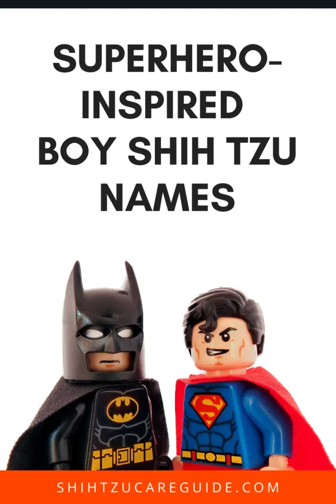 Superhero inspired boy Shih Tzu names www.shihtzucareguide.com