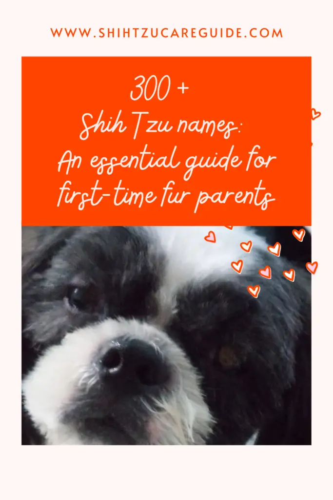 300+ Shih Tzu names: An essential guide for first-time fur parents www.shihtzucareguide.com