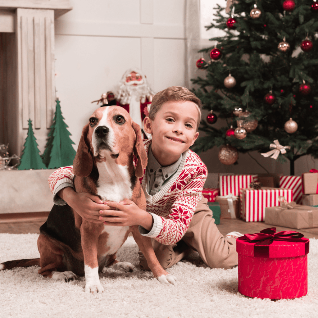 How do I convince my parents to get a dog for Christmas? www.shihtzucareguide.com