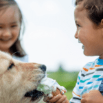Is lactose-free ice cream safe for dogs? +Doggy-approved recipes inside