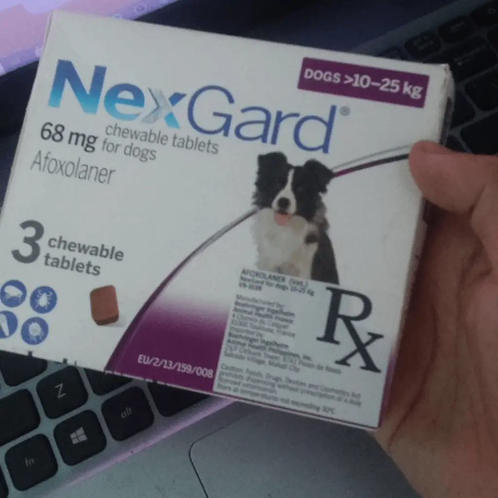 Is NexGard toxic to dogs: What everyone ought to know www.shihtzucareguide.com