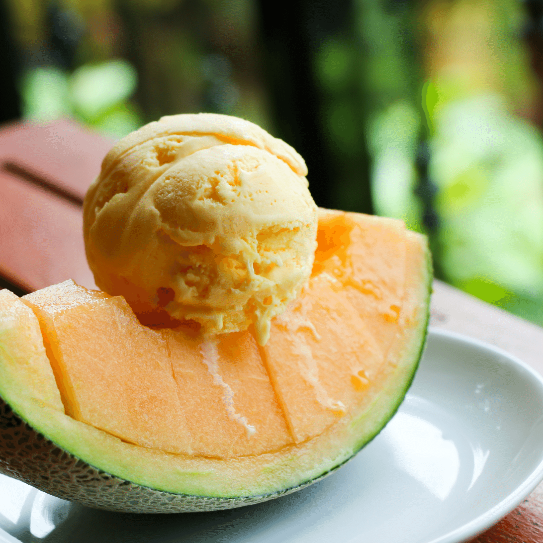 Is lactosefree ice cream safe for dogs? +Doggyapproved recipes inside