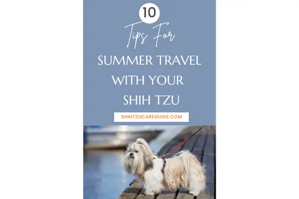 Pinterest pin for 10 tips for summer travel with your Shih Tzu