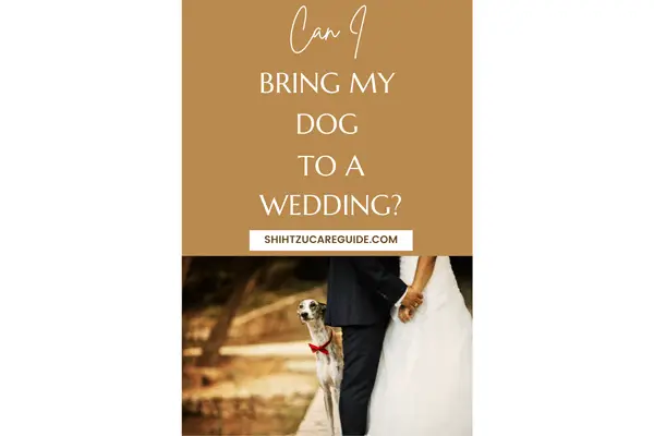 Pinterest pin for can I bring my dog to a wedding