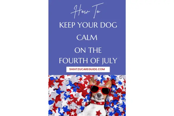 Pinterest pin for How to keep your dog calm on the Fourth of July 