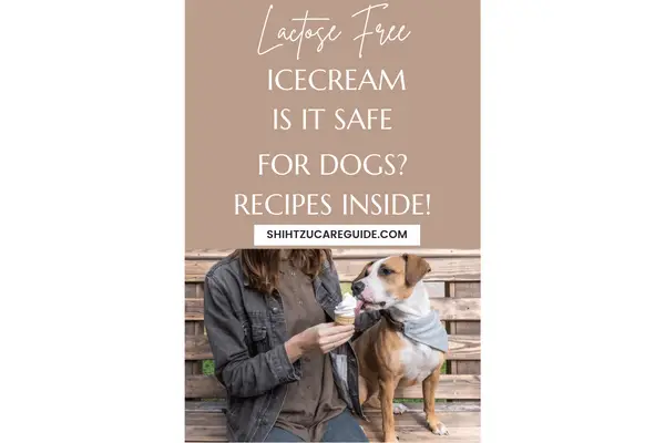 Pinterest pin for Is Lactose Free ice cream safe for dogs