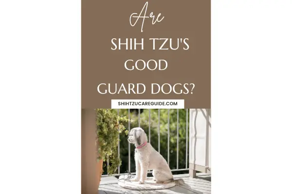 Pinterest pin for Are Shih Tzus Good Guard Dogs