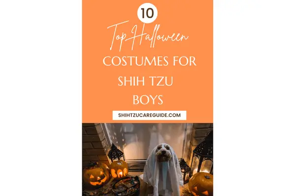 Pinterest pin for Top 10 Halloween costumes for Shih Tzu Boys