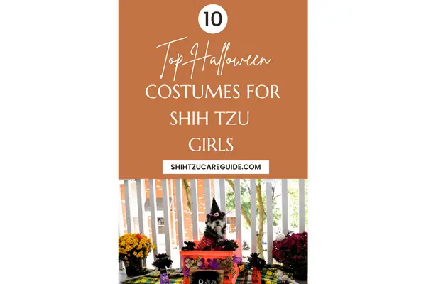 Pinterest pin for top 10 Halloween costumes for Shih Tzu girls