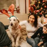 11 Cute Shih Tzu Friendly Family Christmas Photo Ideas