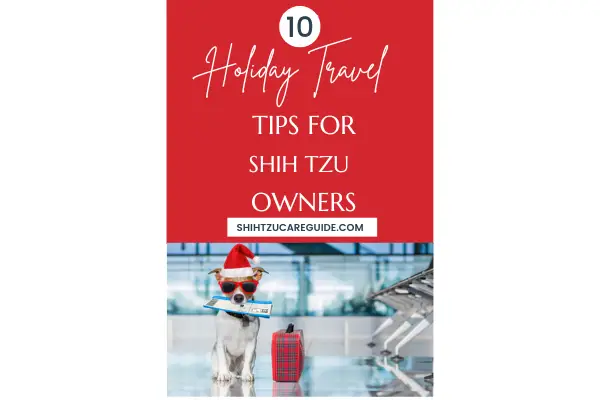 Pinterest pin 10 holiday travel tips for Shih Tzu Owners
