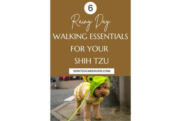 Pinterest pin 6 rainy day walking essentials for your Shih Tzu
