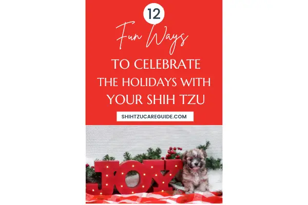 Pinterest pin 12 fun ways to celebrate the holidays with your Shih Tzu