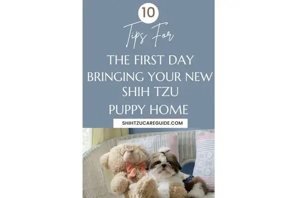 Pinterest pin 10 tips for the first day bringing your new Shih Tzu puppy home