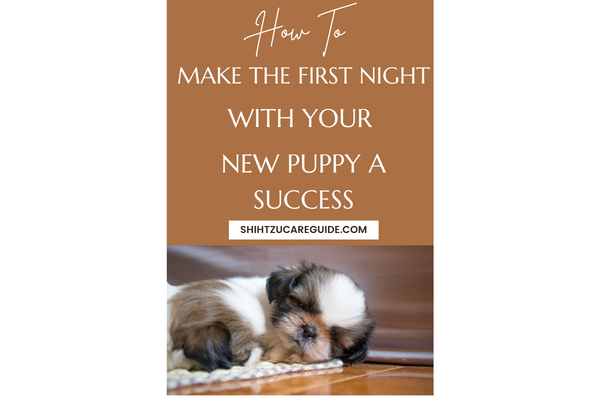 Pinterest pin how to make the first night with your new puppy a success