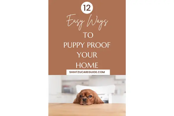 Pinterest pin for 12 easy ways to puppy proof your home