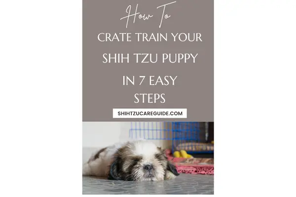 Pinterest pin how to crate train your Shih Tzu puppy in 7 easy steps