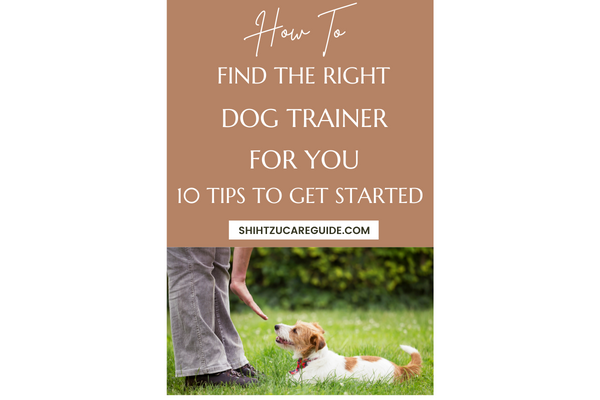 Pinterest pin how to find the right dog trainer for you