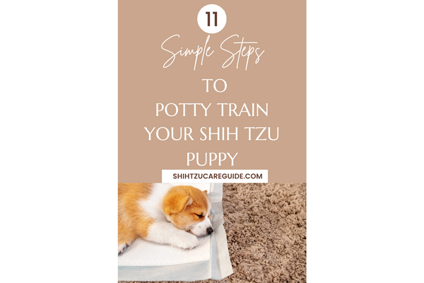 Pinterest pin 11 simple steps to potty train your Shih Tzu puppy