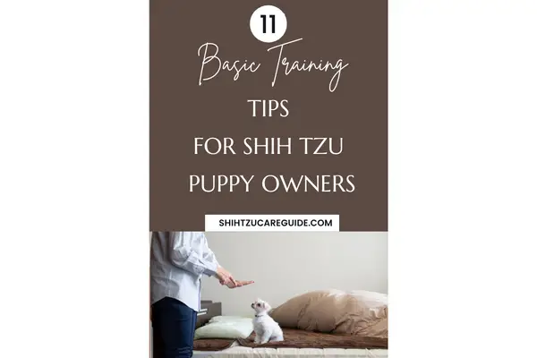 Pinterest pin 11 basic training tips for Shih Tzu puppy owners
