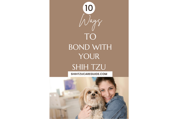 Pinterest pin 10 ways to bond with your Shih Tzu