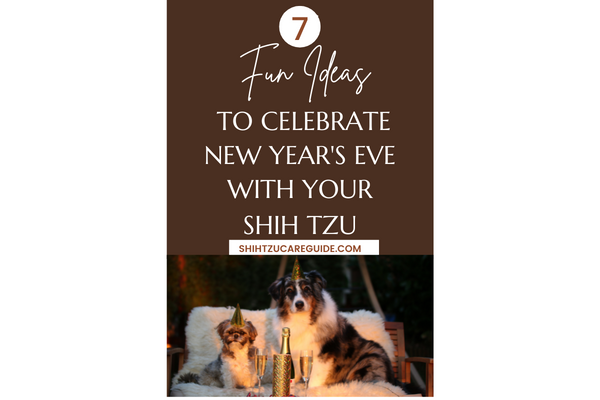 Pinterest pin 7 fun ideas to celebrate New Year's Eve with your Shih Tzu