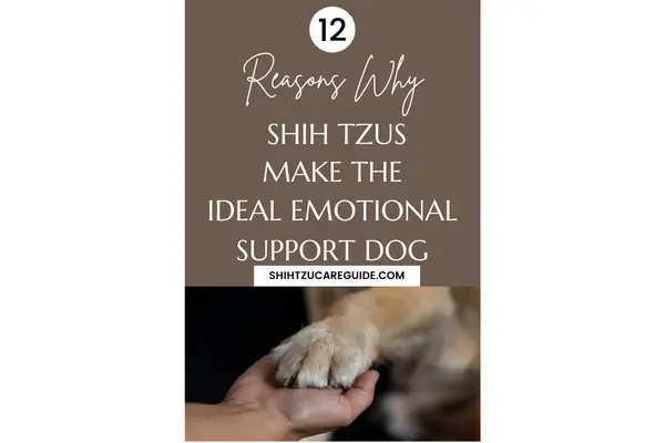Pinterest pin 12 reasons why Shih Tzus make the ideal emotional support dog