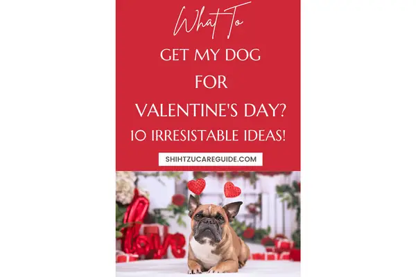 Pinterest pin what to get my dog for Valentine's day