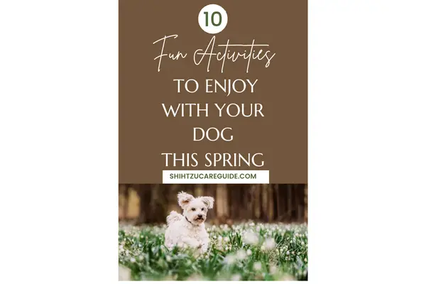 Pinterest pin 10 fun activities to enjoy with your dog this spring