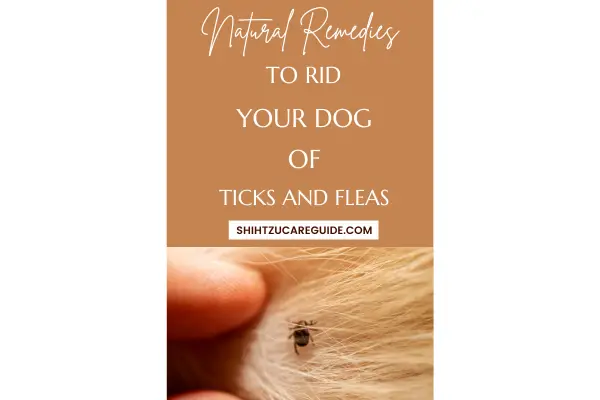 Pinterest pin natural remedies to rid your dog of ticks and fleas