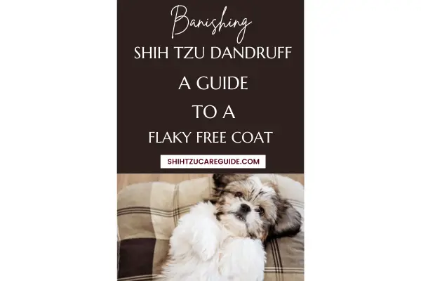 Pinterest pin banishing Shih Tzu dandruff A guide to a flaky free coat

