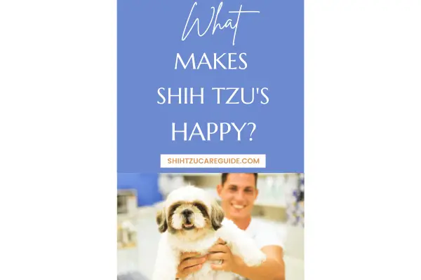 Pinterest pin what makes Shih Tzu's happy?