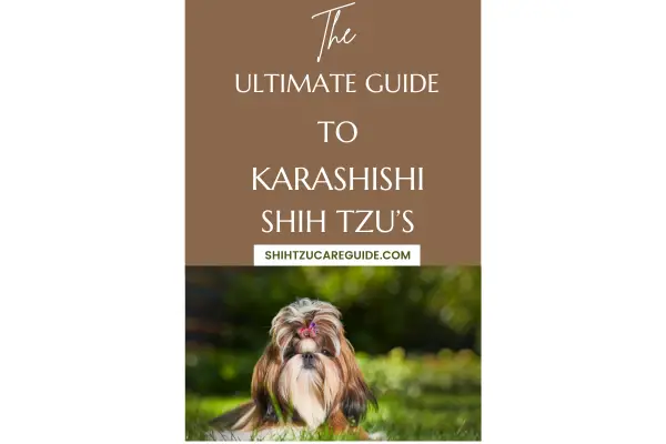 Pinterest pin the ultimate guide to Karashishi Shih Tzu's